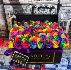 BOX 50 ARCOIRIS