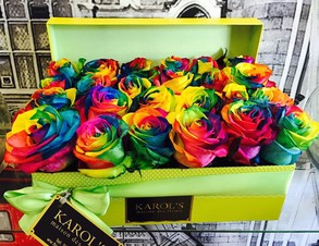 BOX 24 ARCOIRIS