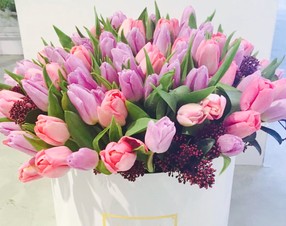 TULIPANES VERSÁTIL