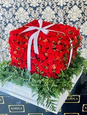 REGALO DE 500 ROSAS