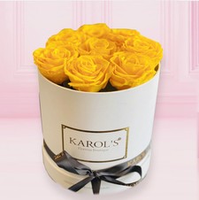 BOX YELLOW