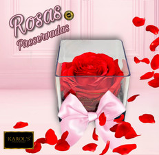 ROSA PRESERVADA