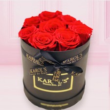 BOX RED PRESERVED