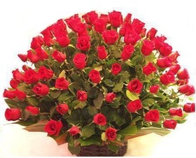 CIEN ROSAS DE LUJO