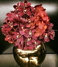 ORQUIDEAS CYMBIDIUM
