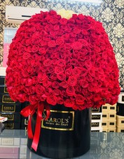 BOX MIL ROSAS