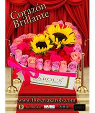 CORAZON BRILLANTE
