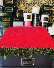 500 ROSAS EN CAJA